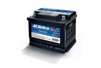 acdelco.jpg