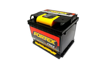 fortex.jpg